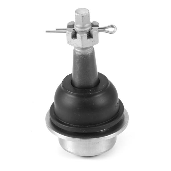 Rotil - AYD - 25351 Ürün Görseli