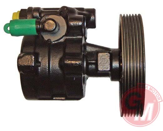 Direksiyon Pompası - GUARNITAUTO - 41084 Ürün Görseli
