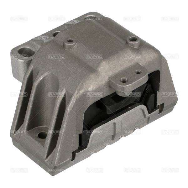 RAPRO R55489 Motor Motor Yataklama - VW GOLF IV (1J1) uyumlu