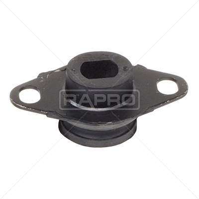 RAPRO R55141 Motor Motor Yataklama - RENAULT KANGOO Express (FC0/1_) uyumlu