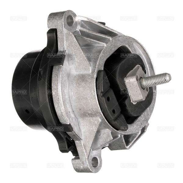 RAPRO R55556 Motor Motor Yataklama - BMW X3 (F25) uyumlu