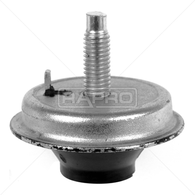 RAPRO R54507 Motor Motor Susturucu - PEUGEOT 206+ (2L_, 2M_) uyumlu