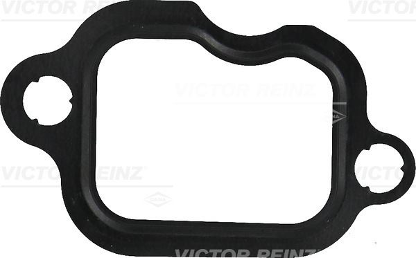 VICTOR REINZ 71-43007-00 Motor Manifold Contası