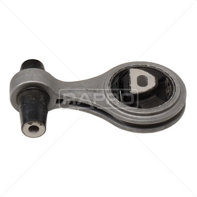 RAPRO R59218 Motor Motor Yataklama - FIAT DOBLO Kasa/büyük limuzin (223_) uyumlu