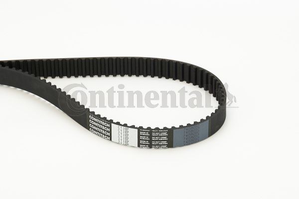 CONTINENTAL CTAM CT1037 Motor Kayış - FIAT ULYSSE (179_) uyumlu