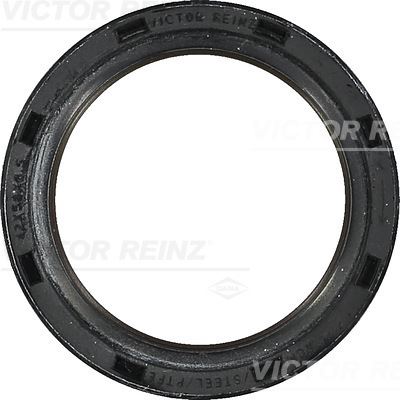 VICTOR REINZ 81-38529-00 Motor Radyal Mil Contası Seti - PEUGEOT 406 (8B) uyumlu