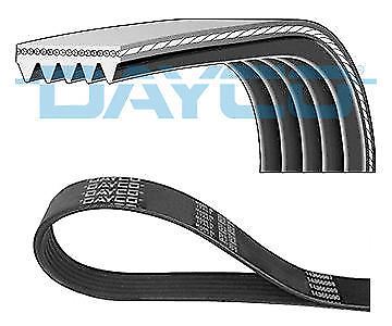 Kanallı Kayış - DAYCO - 5PK1320 Ürün Görseli
