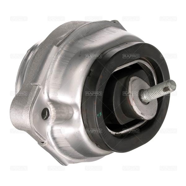 RAPRO R55592 Motor Motor Yataklama - BMW X5 (E53) uyumlu