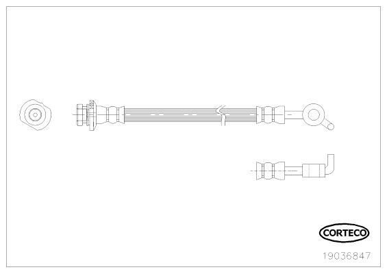 CORTECO 19036847 Fren Sistemleri Fren Hortumları - NISSAN X-TRAIL II (T31) uyumlu