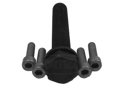 CORTECO 80001243 Motor Küçük Aksesuar Parçaları - VW TRANSPORTER T4 Minibüs/Otobüs (70B, 70C, 7DB, 7DK, 70J, 70K, uyumlu