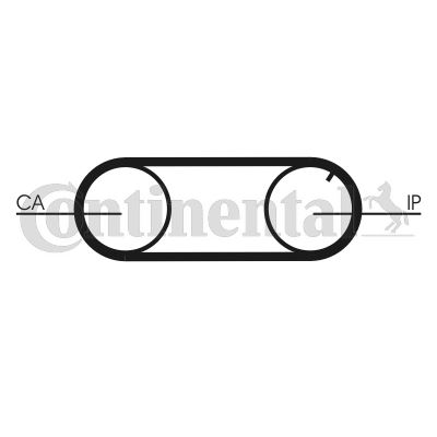 CONTINENTAL CTAM CT641 Motor Kayış - AUDI 100 C3 Sedan (443, 444) uyumlu