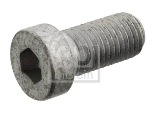 FEBI BILSTEIN 103448 Sarf Malzemeler Cıvatalar