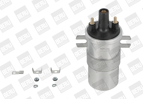 BorgWarner (BERU) ZS563 Ateşleme Sistemi Ateşleme Bobini - BMW 1502-2002 (E10) uyumlu