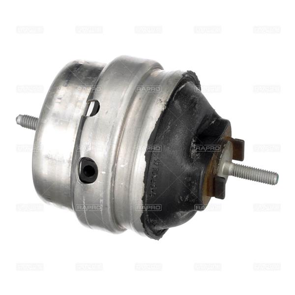 RAPRO R55534 Motor Motor Yataklama - AUDI A4 B6 (8E2) uyumlu