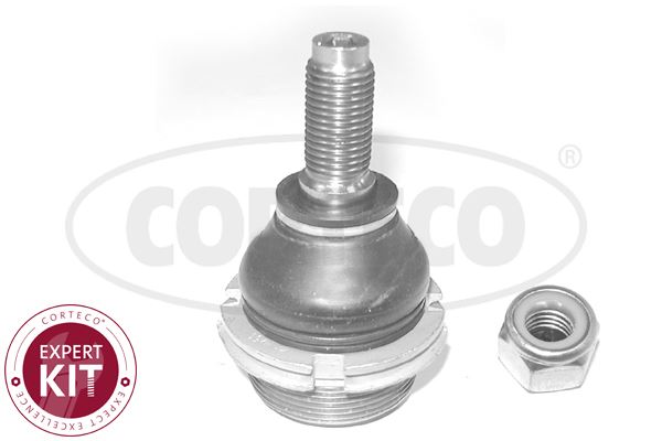 CORTECO 49398886 Tekerlek & Aks Parçaları Taşıyıcı Mafsal - CITROËN XM (Y3) uyumlu