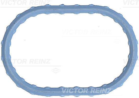 VICTOR REINZ 71-17498-00 Motor Manifold Contası - JAGUAR X-TYPE I (X400) uyumlu