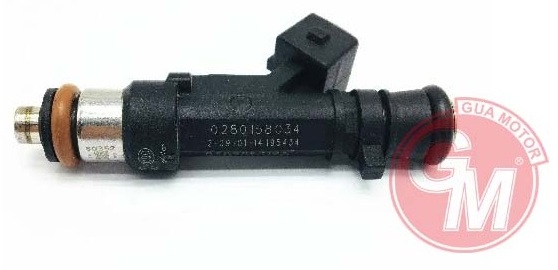 Enjektör Memesi - GUARNITAUTO - 40852 Ürün Görseli