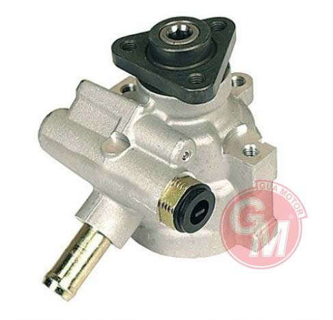 Direksiyon Pompası - GUARNITAUTO - 41076 Ürün Görseli