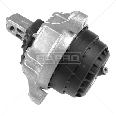 RAPRO R55342 Motor Motor Yataklama - BMW 5 (F10) uyumlu