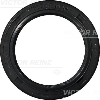 VICTOR REINZ 81-25582-10 Motor Radyal Mil Contası Seti - VOLVO XC90 I (275) uyumlu