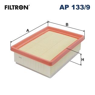Hava Filtresi - FILTRON - AP 133/9
