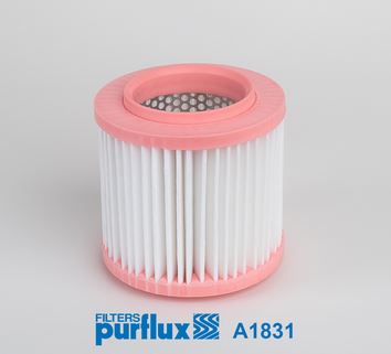 PURFLUX A1831 Motor Hava Filtresi - AUDI A8 D3 (4E2, 4E8) uyumlu