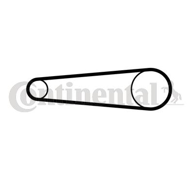 CONTINENTAL CTAM CT1208 Motor Kayış
