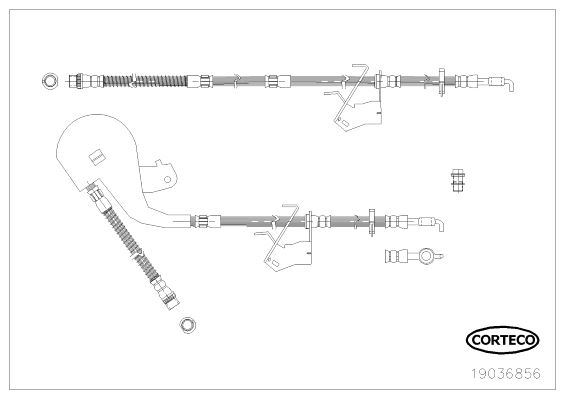 CORTECO 19036856 Fren Sistemleri Fren Hortumları - CITROËN C5 III (RD_) uyumlu