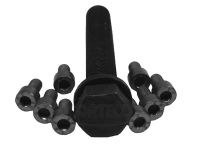 CORTECO 80001262 Motor Küçük Aksesuar Parçaları - AUDI A8 D2 (4D2, 4D8) uyumlu