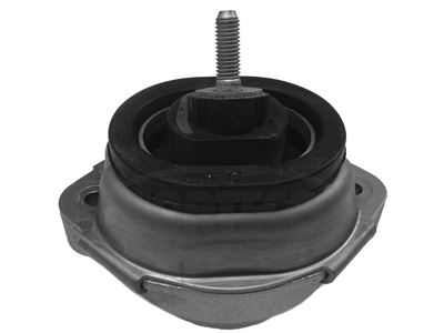 CORTECO 80001080 Motor Motor Yataklama - BMW X5 (E53) uyumlu