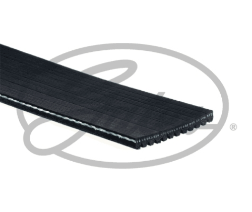 GATES 12PK1890HD Motor Kayış - IVECO S-WAY uyumlu