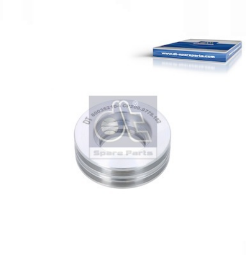 DT Spare Parts 2.32182 Şanzıman Kumanda Silindiri