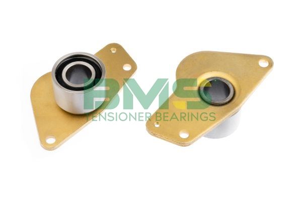 BMS BMS 066 Motor Kayış Kasnağı - RENAULT 19 II (B/C53_) uyumlu