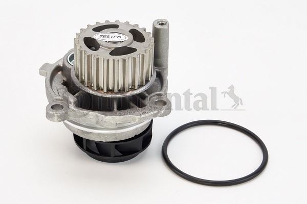CONTINENTAL CTAM WP6010 Motor Devirdaim - VW GOLF PLUS V (5M1, 521) uyumlu