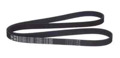 Kanallı Kayış - GM - 55578814 Ürün Görseli