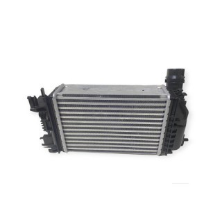 Turbo Radyatörü - RENAULT ORIJINAL - 144966668R Ürün Görseli