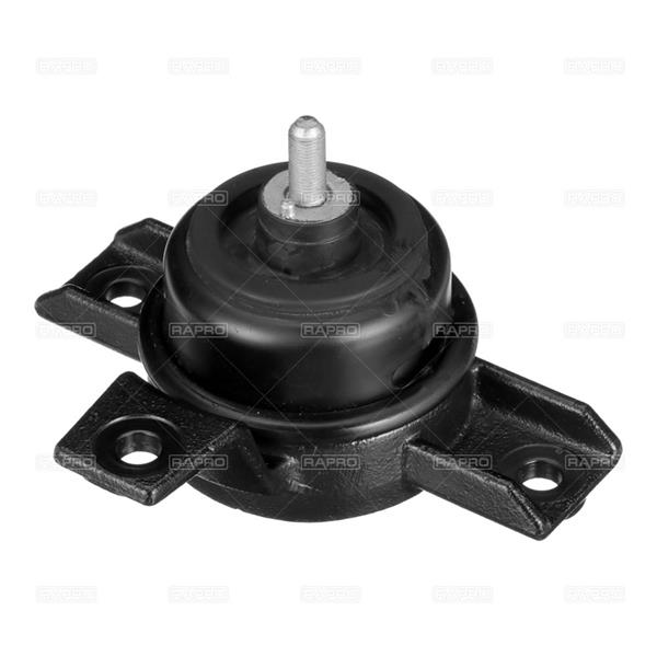 RAPRO R55631 Motor Motor Yataklama - KIA SORENTO II (XM) uyumlu