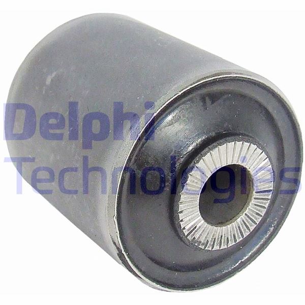 DELPHI TD846W Süspansiyon Sistemi Bugi Kolu - LAND ROVER RANGE ROVER III (L322) uyumlu