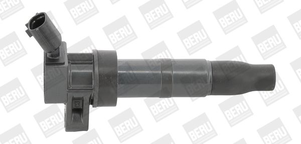 BorgWarner (BERU) ZS548 Ateşleme Sistemi Ateşleme Bobini - HYUNDAI SANTA FÉ II (CM) uyumlu