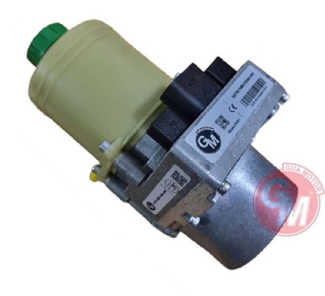Direksiyon Pompası - GUARNITAUTO - 42091 Ürün Görseli