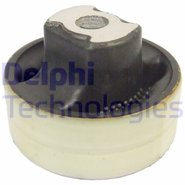 DELPHI TD646W Süspansiyon Sistemi Bugi Kolu - FIAT PUNTO EVO (199_) uyumlu