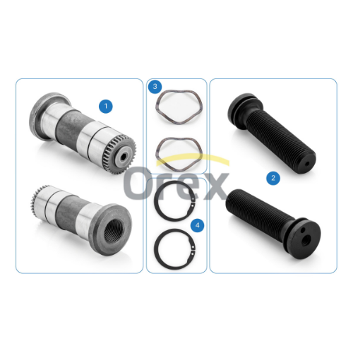 Kaliper Piston Pinyon Tamir Takımı - OREX - 813199