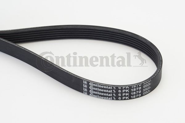 CONTINENTAL CTAM 6PK1870 Motor Kayış - VW TRANSPORTER T4 Minibüs/Otobüs (70B, 70C, 7DB, 7DK, 70J, 70K, uyumlu
