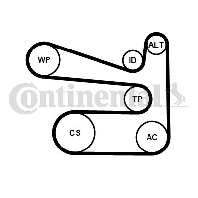 CONTINENTAL CTAM 6PK1693K1 Motor Kayış Kasnağı - VW TOURAN (1T3) uyumlu
