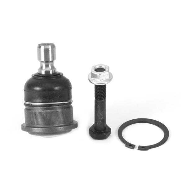 Rotil - AYD - 07042 Ürün Görseli