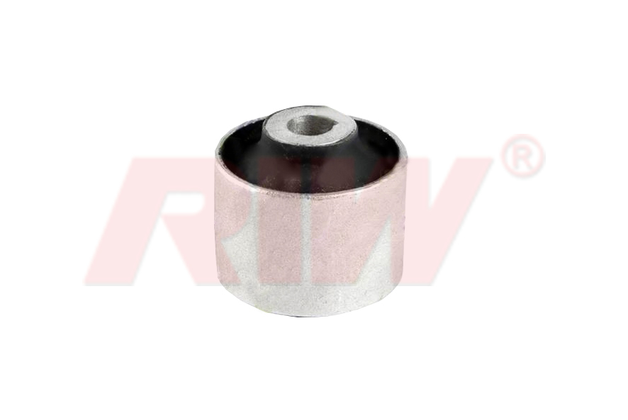 Salıncak Burcu - RIW - VW11080