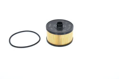 BOSCH F 026 407 231 Motor Yağ Filtresi - RENAULT MEGANE III Coupe (DZ0/1_) uyumlu