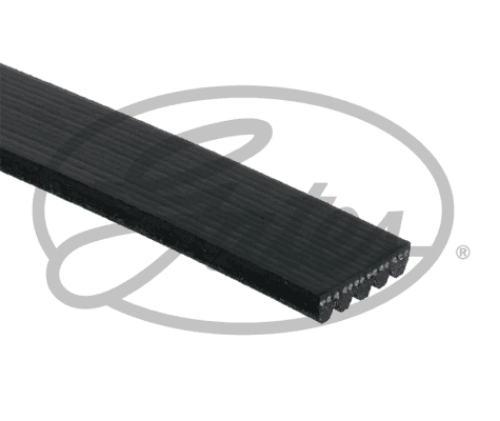 GATES 5PK970 Motor Kayış - ALFA ROMEO 155 (167_) uyumlu