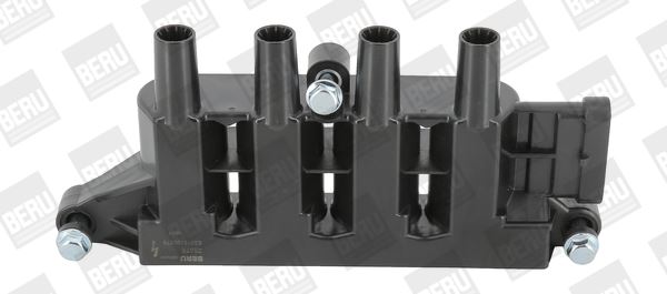 BorgWarner (BERU) ZS079 Ateşleme Sistemi Ateşleme Bobini - FIAT PANDA (169_) uyumlu