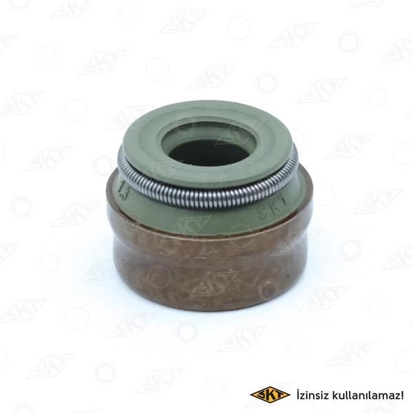 SKT 4S-071-V Motor Supap Kılavuzu & Conta - RENAULT CLIO III (BR0/1, CR0/1) uyumlu